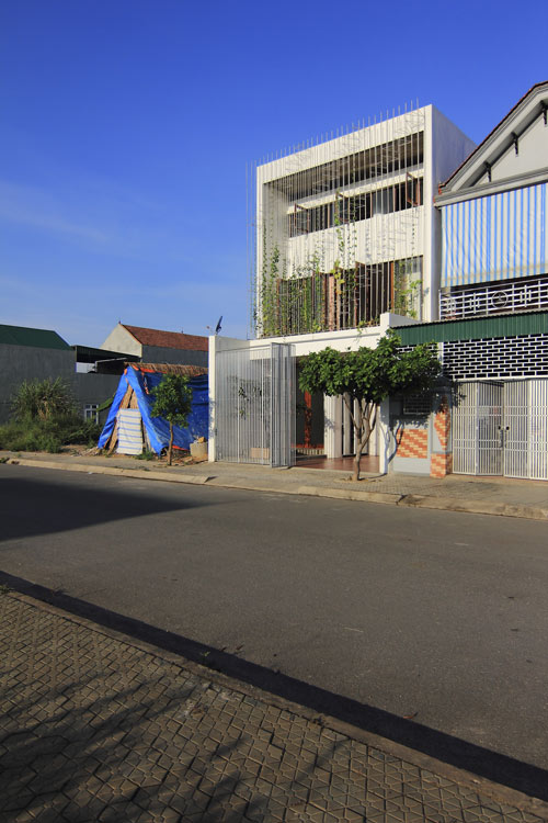 Nghệ An: Vợ chồng nghỉ hưu xây nhà xanh mướt mặt tiền rau - 5