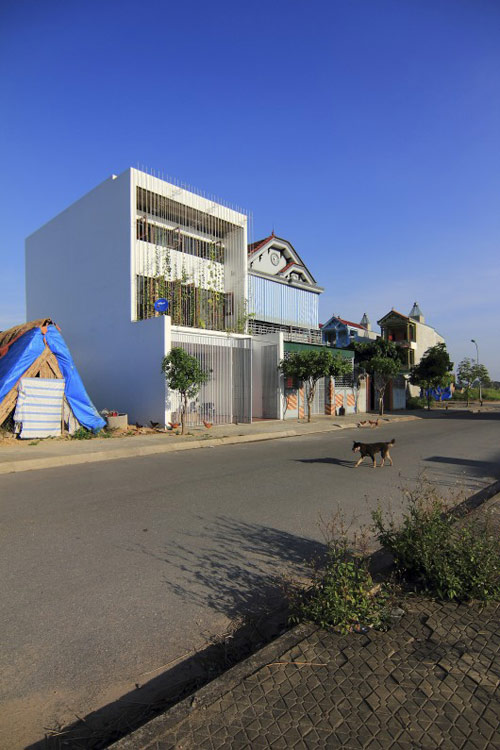 Nghệ An: Vợ chồng nghỉ hưu xây nhà xanh mướt mặt tiền rau - 1