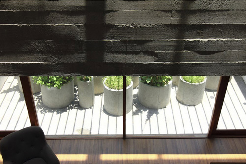 Nghệ An: Vợ chồng nghỉ hưu xây nhà xanh mướt mặt tiền rau - 12