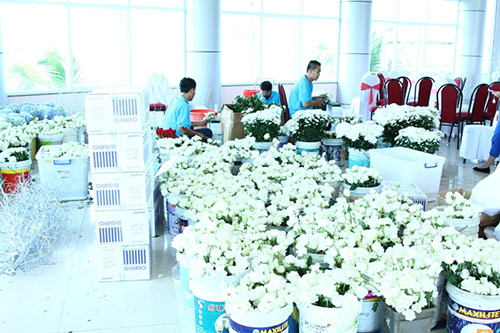 Thủy Tiên - Công Vinh tụng kinh Bát Dương trước ngày cưới - 5