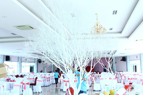 Thủy Tiên - Công Vinh tụng kinh Bát Dương trước ngày cưới - 6