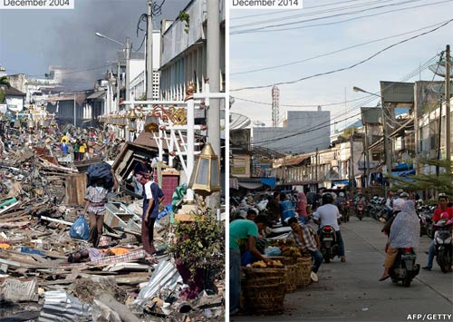 Indonesia hồi sinh sau 10 năm sóng thần Ấn Độ Dương - 6
