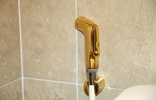 Ông chủ Kỷ Mùi dát vàng cả nhà tặng vợ con - 5