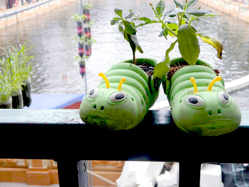 Chàng họa sĩ Hà thành mày mò trồng cây từ phế thải - 10