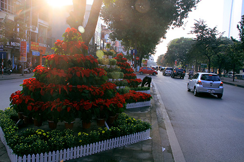 Thủ đô Hà Nội rực rỡ cờ hoa chào năm mới 2015 - 8