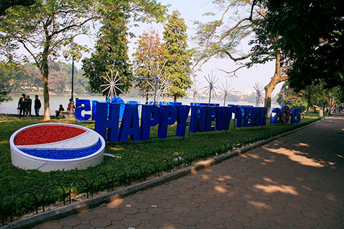 Thủ đô Hà Nội rực rỡ cờ hoa chào năm mới 2015 - 4