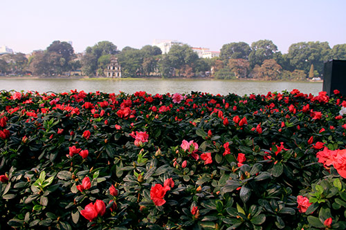 Thủ đô Hà Nội rực rỡ cờ hoa chào năm mới 2015 - 7