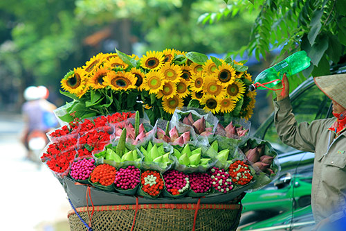 Hà Nội đẹp lạ qua 12 mùa hoa, 12 màu sắc khác nhau - 16