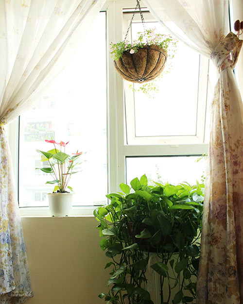 2014 - chị em mê đắm những vườn hoa rực sắc - 11