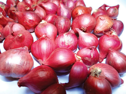 Trị tàn nhang tại nhà hiệu quả cho bạn gái thêm tự tin - 7