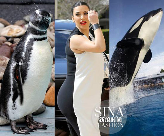 Bộ cánh đen trắng hai mảnh khiến Kim Kardashian bị ví như một chú cá heo.
