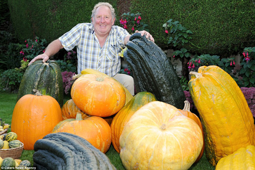 Choáng váng cụ ông 67 tuổi trồng rau củ quả to hơn cả cháu
