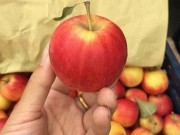 Mua sắm - Giá cả - Vạch mặt táo đá mini khi đang làm mưa gió trên thị trường?