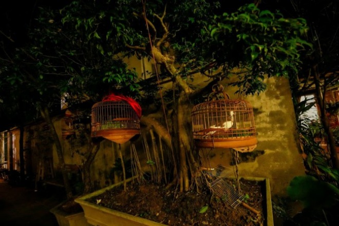 Phủ thờ Tổ nghiệp 1.000m² toàn đồ cổ của Vượng râu không thua kém phủ của Hoài Linh - 12