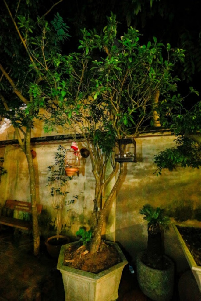 Phủ thờ Tổ nghiệp 1.000m² toàn đồ cổ của Vượng râu không thua kém phủ của Hoài Linh - 13