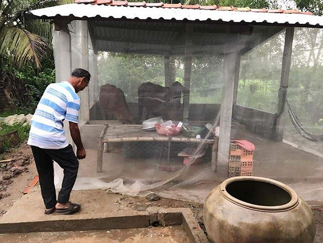 Hạnh phúc bất ngờ đến với người mẹ điên sinh con nhưng không biết cha đứa trẻ là ai - 3