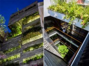 Nhà đẹp - Nhà ống 4 tầng mà đẹp như resort nhờ cây xanh mọc khắp nhà