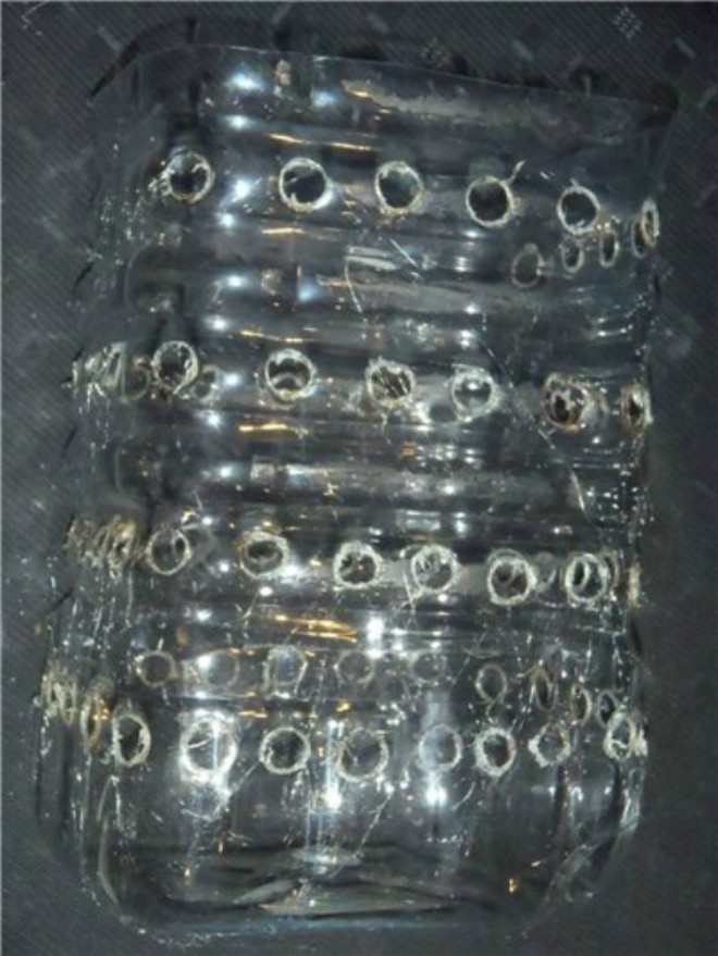 Mách chị em 4 cách trồng hành lá tại nhà, ăn tẹt ga không hết - 6