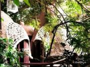 Nhà đẹp - Nhà cây “độc nhất vô nhị” ở Hà Nội mà ai cũng muốn đến thăm một lần