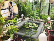 Nhà đẹp - Mẹ Việt san rừng trồng vườn ở trời Tây: "Việt Nam có cây gì, nhà tôi có cây đó"