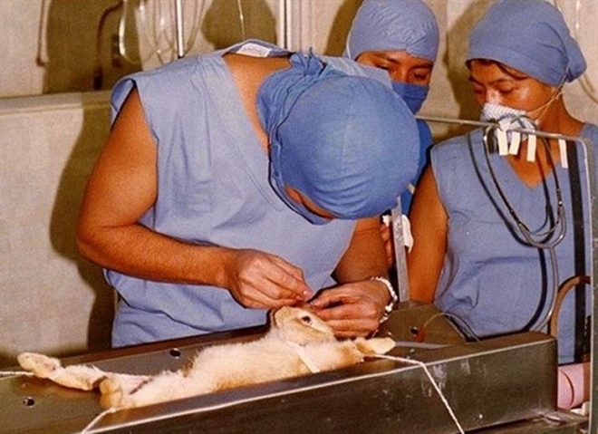 Bạn sẽ không ngần ngại “đá phăng” lớp make-up nếu biết được 5 lý do này! - 8