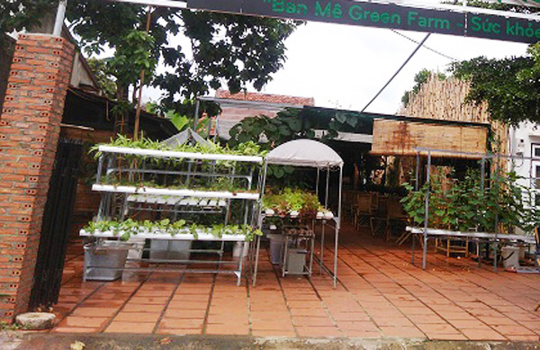 Lạ lùng quán cà phê... rau sạch ở Buôn Ma Thuật - 1