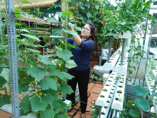 Lạ lùng quán cà phê... rau sạch ở Buôn Ma Thuật - 4