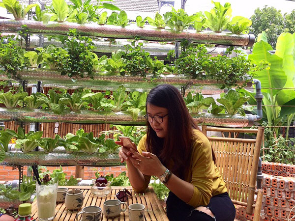 Lạ lùng quán cà phê... rau sạch ở Buôn Ma Thuật - 7