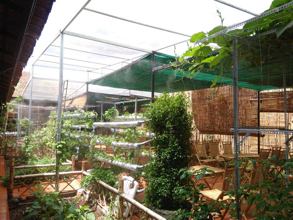 Lạ lùng quán cà phê... rau sạch ở Buôn Ma Thuật - 8