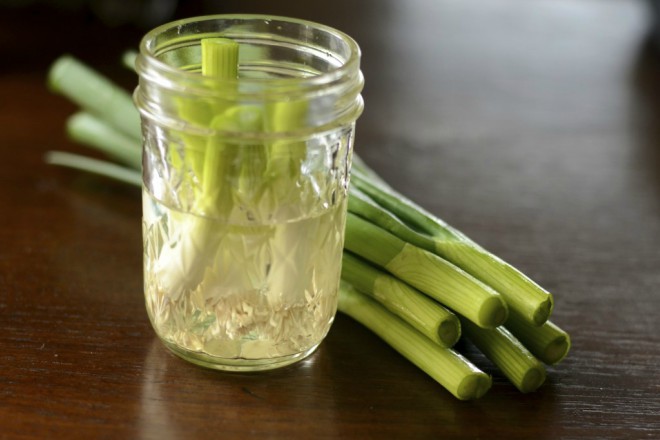 Mách chị em 4 cách trồng hành lá tại nhà, ăn tẹt ga không hết - 9