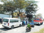 Tin tức - Rò rỉ khí độc ở TP.HCM, 4 người nhập viện, vật nuôi chết la liệt