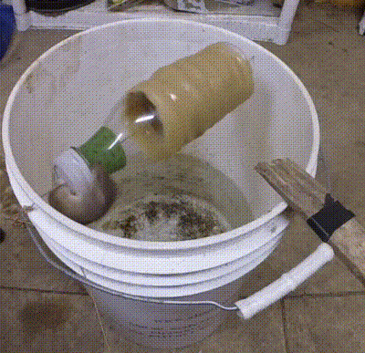 Đuổi được cả đàn chuột khỏi nhà nhờ 4 cách làm bẫy chuột cực đơn giản - 1