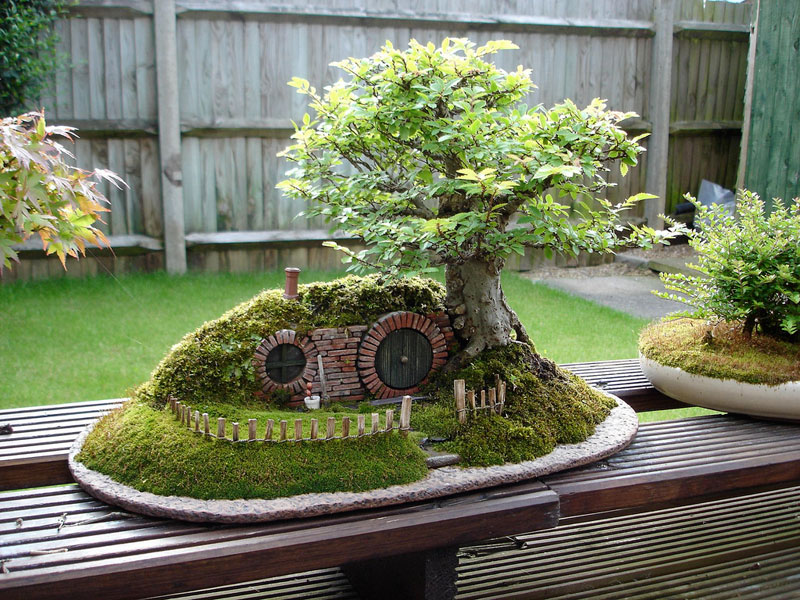 Chậu cây bonsai sáng tạo với ngôi nhà của người Hobbit ở phía dưới.
