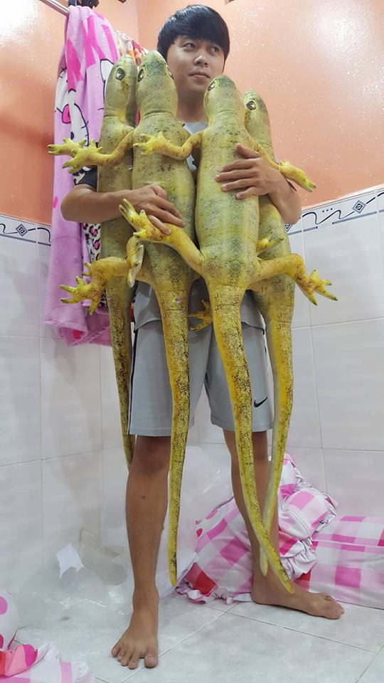 Giờ phải sắm gối ôm hình thằn lằn, tôm cua, súp lơ,... hệt như thật thế này mới amp;#34;chất chơiamp;#34; - 4