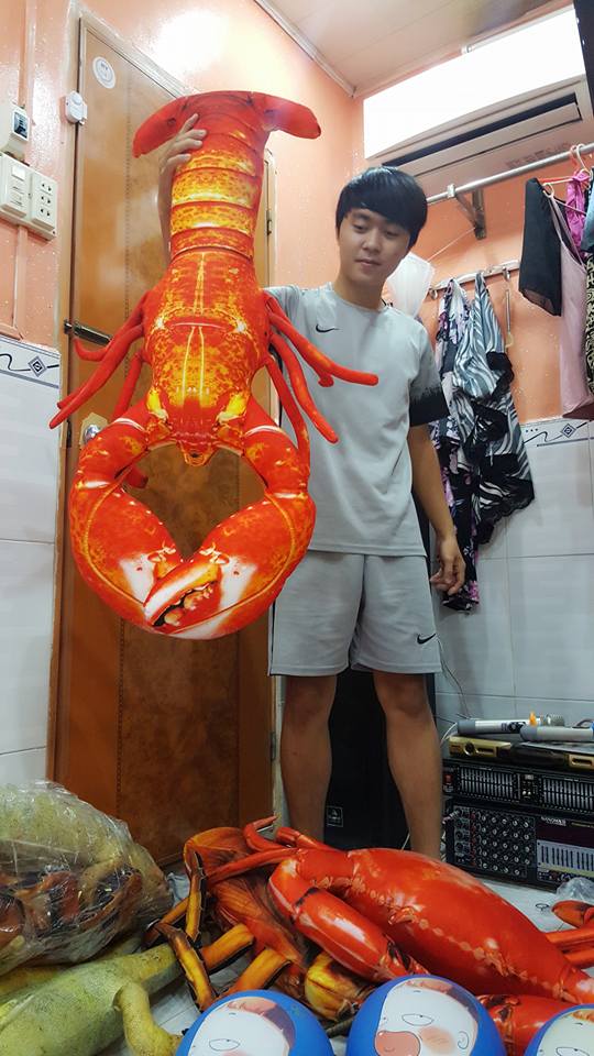 Giờ phải sắm gối ôm hình thằn lằn, tôm cua, súp lơ,... hệt như thật thế này mới amp;#34;chất chơiamp;#34; - 5