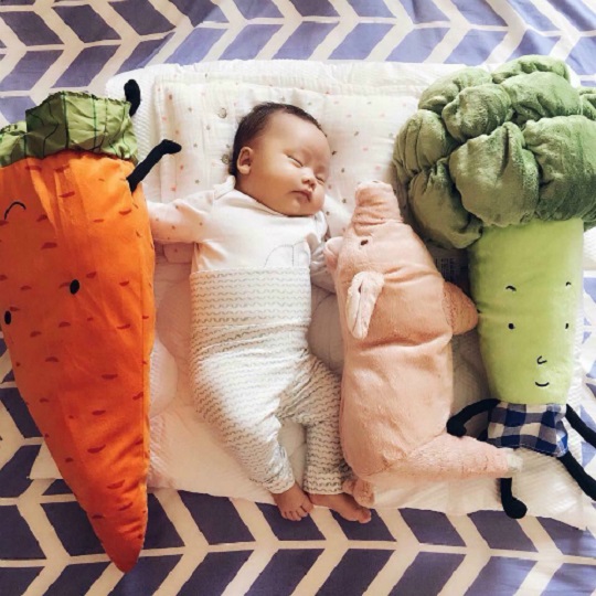 Giờ phải sắm gối ôm hình thằn lằn, tôm cua, súp lơ,... hệt như thật thế này mới amp;#34;chất chơiamp;#34; - 11