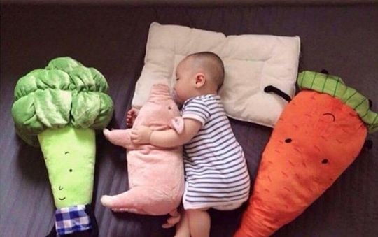 Giờ phải sắm gối ôm hình thằn lằn, tôm cua, súp lơ,... hệt như thật thế này mới amp;#34;chất chơiamp;#34; - 9