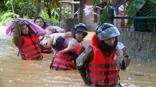 19 người trong 4 gia đình bị vùi lấp, nhiều nơi trên cả nước dân trắng đêm chạy lũ - 2