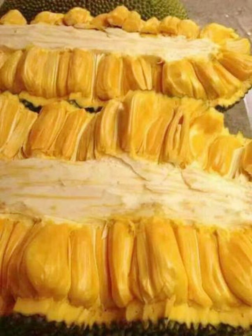 nha nha xon xao tim trong giong mit khung dai gan 1m, mot qua chin ca xom an no - 9