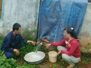 Tin tức - Người đàn ông đổ thuốc sâu vào bồn nước đầu độc 2 mẹ con nhân tình