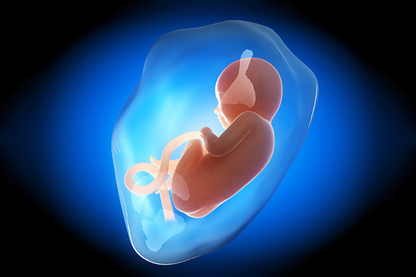 Những bí mật mẹ chưa biết về túi ối - amp;#34;ngôi nhàamp;#34; của con suốt 9 tháng 10 ngày - 2