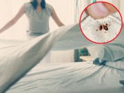 Nhà đẹp - Tác hại đằng sau việc gấp chăn ngay khi ngủ dậy sẽ khiến bạn giật mình