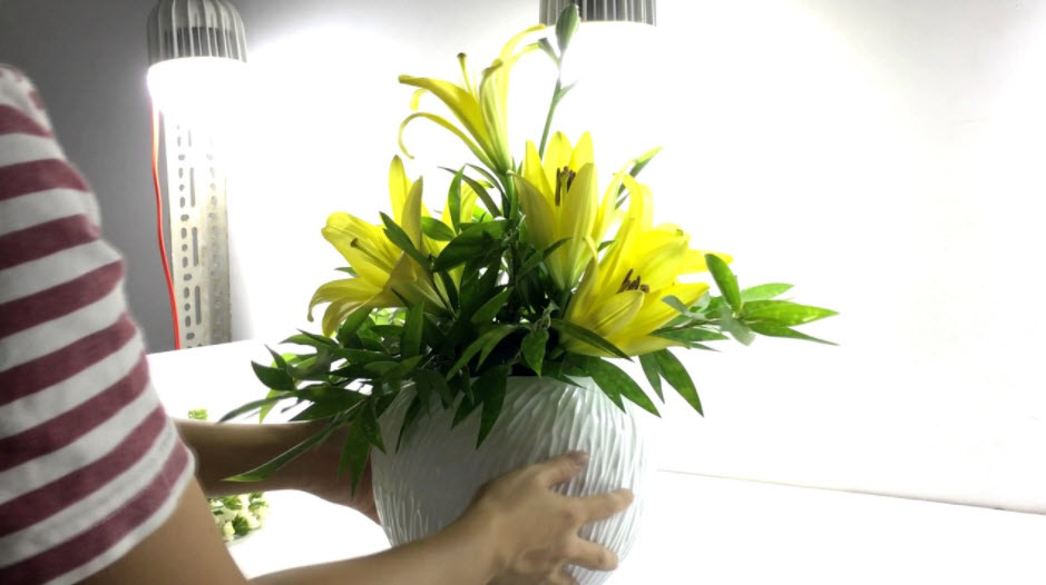 cách cắm hoa hạnh phúc đẹp