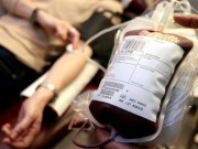 Tin tức - Nghiên cứu mới gây sốc: Máu của phụ nữ từng mang thai có thể gây tử vong cho nam giới