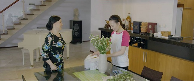 Khán giả phẫn nộ vì Hà Việt Dũng vào khách sạn với gái khiến vợ sốc đến mức sẩy thai - 6
