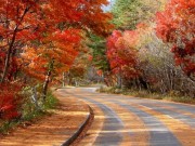 Du lịch - Sững sờ vẻ đẹp cung đường nguy hiểm nhất thế giới khi thu về