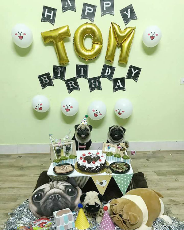 2-year-old dog gets a grand birthday celebration, netizens amp;#34;outragedamp;#34;: amp;#34;Happier than humans!amp;#34;  - 4