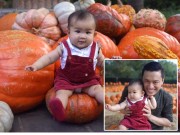 Làng sao - Sao Việt 24h: Con gái Lam Trường cực yêu giữa vườn bí ngô khổng lồ ở Mỹ