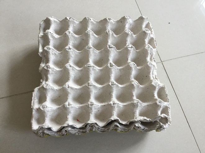 Mẹo trṑng hành lá cực nhanh mà nhàn khȏng cần ᵭất, tha hṑ hái mỏi tay - 2