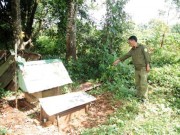 Tin tức - Tin tức 24h nổi bật: Bi kịch phía sau vụ mẹ giết con đẻ vì sợ phát hiện ngoại tình